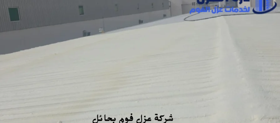 افضل شركة عزل فوم بحائل